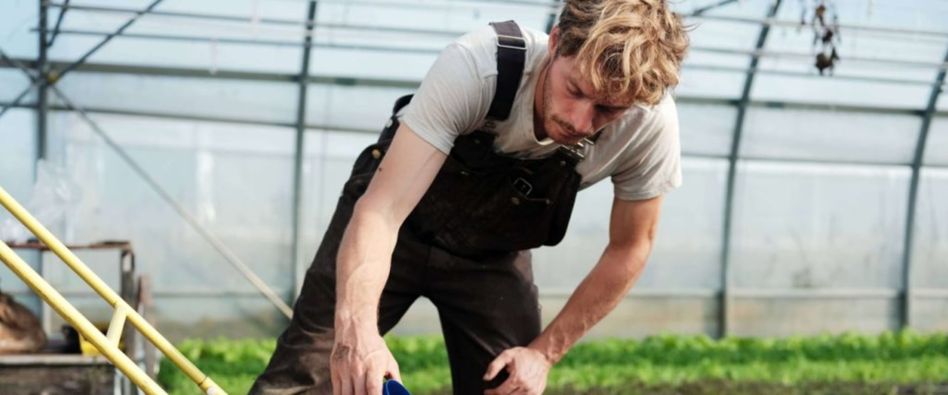 The Ultimate Guide to Finding the Best Penney Farms Movers at an Affordable Cost