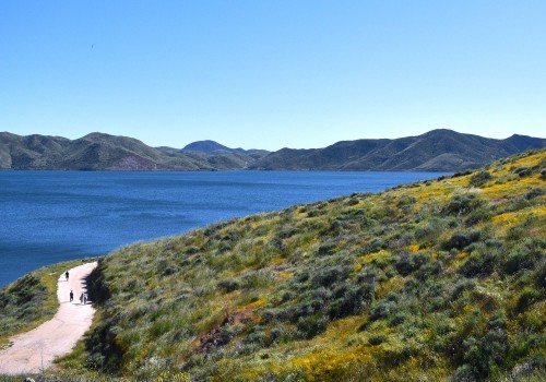 Hemet Movers: Your Comprehensive Guide to Local Moving Services